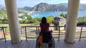 ねむりさくらちゃん大根山公園